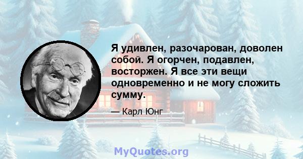 Я удивлен, разочарован, доволен собой. Я огорчен, подавлен, восторжен. Я все эти вещи одновременно и не могу сложить сумму.