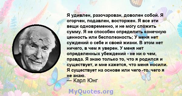 Я удивлен, разочарован, доволен собой. Я огорчен, подавлен, восторжен. Я все эти вещи одновременно, и не могу сложить сумму. Я не способен определить конечную ценность или бесполезность; У меня нет суждений о себе и