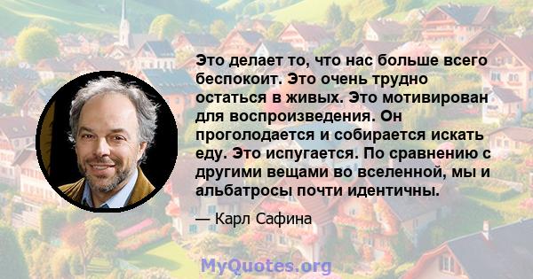 Это делает то, что нас больше всего беспокоит. Это очень трудно остаться в живых. Это мотивирован для воспроизведения. Он проголодается и собирается искать еду. Это испугается. По сравнению с другими вещами во