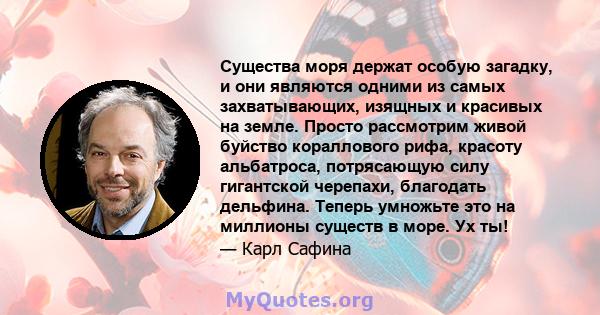 Существа моря держат особую загадку, и они являются одними из самых захватывающих, изящных и красивых на земле. Просто рассмотрим живой буйство кораллового рифа, красоту альбатроса, потрясающую силу гигантской черепахи, 