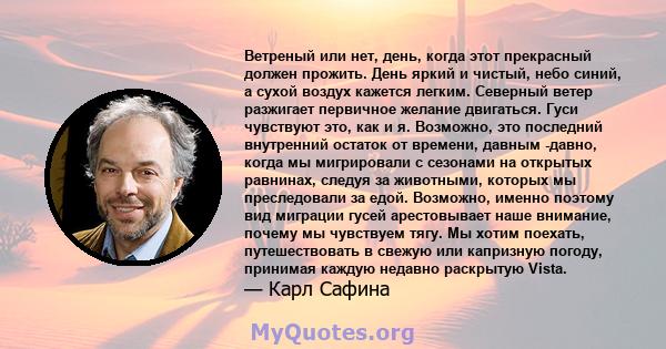 Ветреный или нет, день, когда этот прекрасный должен прожить. День яркий и чистый, небо синий, а сухой воздух кажется легким. Северный ветер разжигает первичное желание двигаться. Гуси чувствуют это, как и я. Возможно,