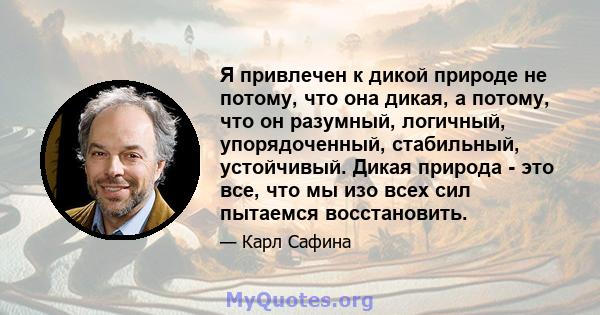 Я привлечен к дикой природе не потому, что она дикая, а потому, что он разумный, логичный, упорядоченный, стабильный, устойчивый. Дикая природа - это все, что мы изо всех сил пытаемся восстановить.