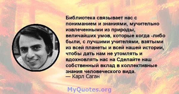 Библиотека связывает нас с пониманием и знаниями, мучительно извлеченными из природы, величайших умов, которые когда -либо были, с лучшими учителями, взятыми из всей планеты и всей нашей истории, чтобы дать нам не