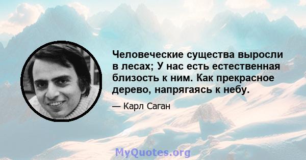 Человеческие существа выросли в лесах; У нас есть естественная близость к ним. Как прекрасное дерево, напрягаясь к небу.