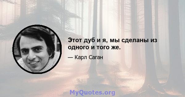 Этот дуб и я, мы сделаны из одного и того же.