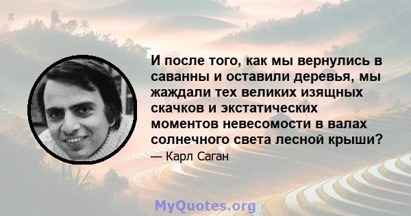 И после того, как мы вернулись в саванны и оставили деревья, мы жаждали тех великих изящных скачков и экстатических моментов невесомости в валах солнечного света лесной крыши?