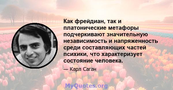 Как фрейдиан, так и платонические метафоры подчеркивают значительную независимость и напряженность среди составляющих частей психики, что характеризует состояние человека.