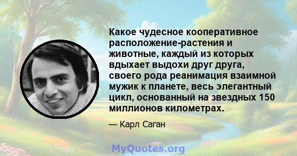 Какое чудесное кооперативное расположение-растения и животные, каждый из которых вдыхает выдохи друг друга, своего рода реанимация взаимной мужик к планете, весь элегантный цикл, основанный на звездных 150 миллионов