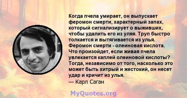 Когда пчела умирает, он выпускает феромон смерти, характерный запах, который сигнализирует о выживших, чтобы удалить его из уляя. Труп быстро толкается и вытягивается из улья. Феромон смерти - олеиновая кислота. Что