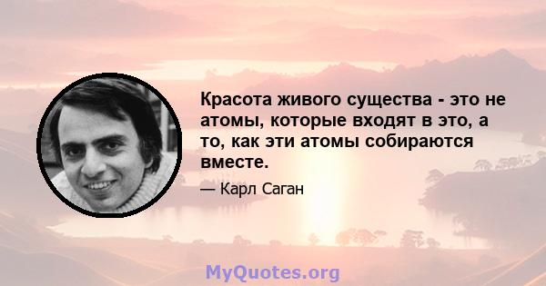 Красота живого существа - это не атомы, которые входят в это, а то, как эти атомы собираются вместе.