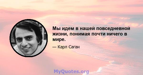 Мы идем в нашей повседневной жизни, понимая почти ничего в мире.