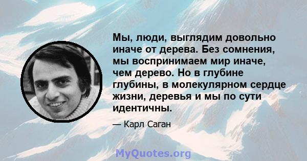 Мы, люди, выглядим довольно иначе от дерева. Без сомнения, мы воспринимаем мир иначе, чем дерево. Но в глубине глубины, в молекулярном сердце жизни, деревья и мы по сути идентичны.