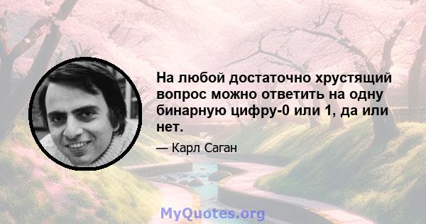 На любой достаточно хрустящий вопрос можно ответить на одну бинарную цифру-0 или 1, да или нет.