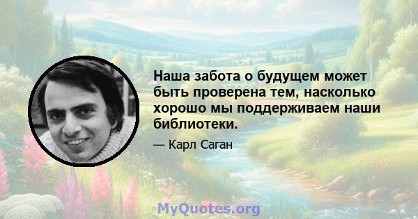 Наша забота о будущем может быть проверена тем, насколько хорошо мы поддерживаем наши библиотеки.