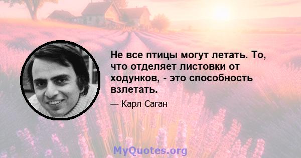 Не все птицы могут летать. То, что отделяет листовки от ходунков, - это способность взлетать.