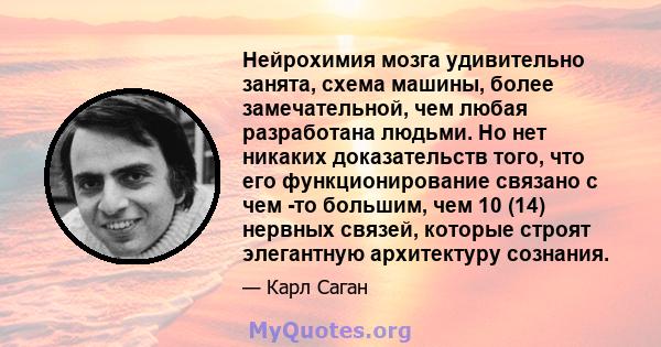 Нейрохимия мозга удивительно занята, схема машины, более замечательной, чем любая разработана людьми. Но нет никаких доказательств того, что его функционирование связано с чем -то большим, чем 10 (14) нервных связей,