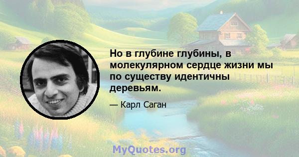 Но в глубине глубины, в молекулярном сердце жизни мы по существу идентичны деревьям.