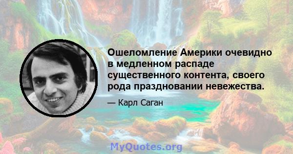 Ошеломление Америки очевидно в медленном распаде существенного контента, своего рода праздновании невежества.