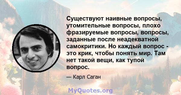 Существуют наивные вопросы, утомительные вопросы, плохо фразируемые вопросы, вопросы, заданные после неадекватной самокритики. Но каждый вопрос - это крик, чтобы понять мир. Там нет такой вещи, как тупой вопрос.