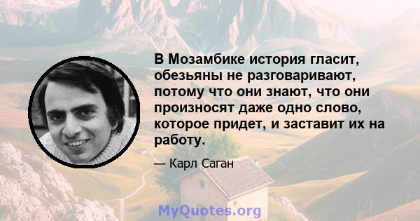 В Мозамбике история гласит, обезьяны не разговаривают, потому что они знают, что они произносят даже одно слово, которое придет, и заставит их на работу.