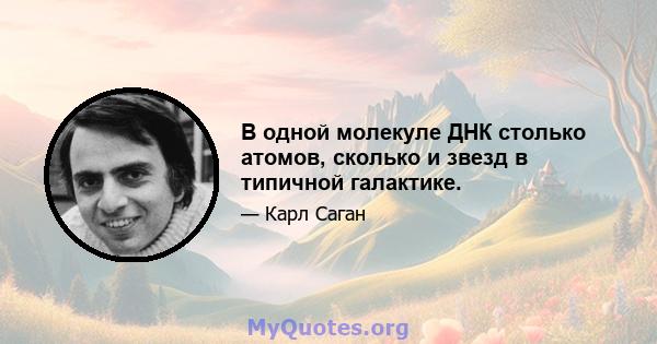 В одной молекуле ДНК столько атомов, сколько и звезд в типичной галактике.