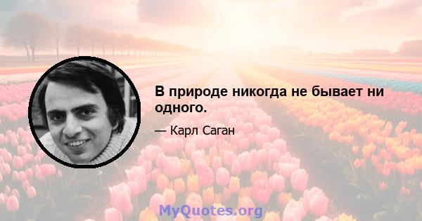 В природе никогда не бывает ни одного.