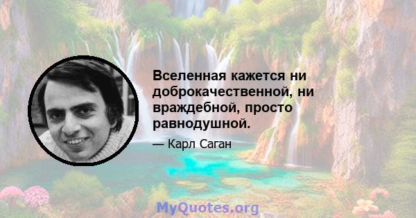 Вселенная кажется ни доброкачественной, ни враждебной, просто равнодушной.