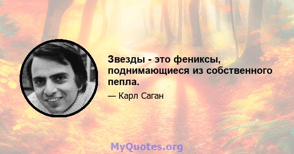 Звезды - это фениксы, поднимающиеся из собственного пепла.