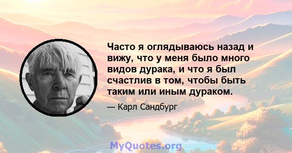 Часто я оглядываюсь назад и вижу, что у меня было много видов дурака, и что я был счастлив в том, чтобы быть таким или иным дураком.