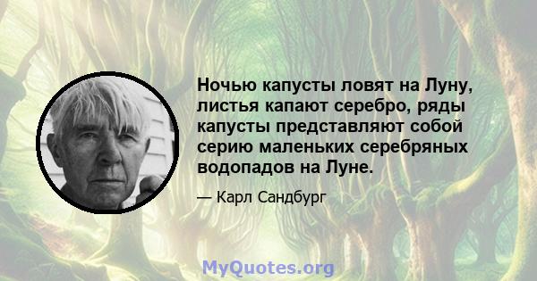 Ночью капусты ловят на Луну, листья капают серебро, ряды капусты представляют собой серию маленьких серебряных водопадов на Луне.