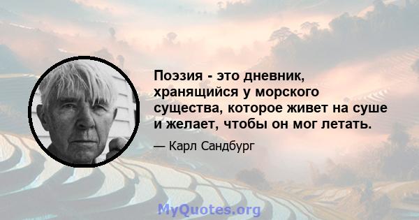 Поэзия - это дневник, хранящийся у морского существа, которое живет на суше и желает, чтобы он мог летать.