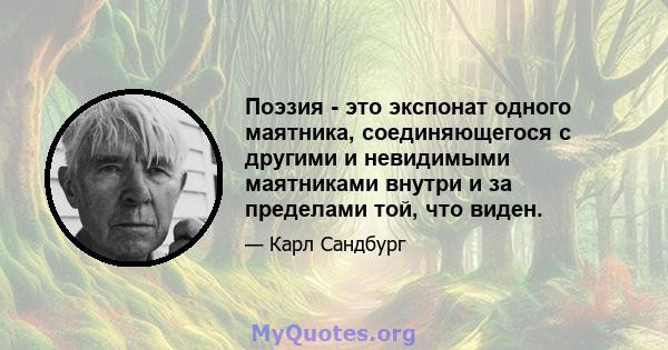 Поэзия - это экспонат одного маятника, соединяющегося с другими и невидимыми маятниками внутри и за пределами той, что виден.