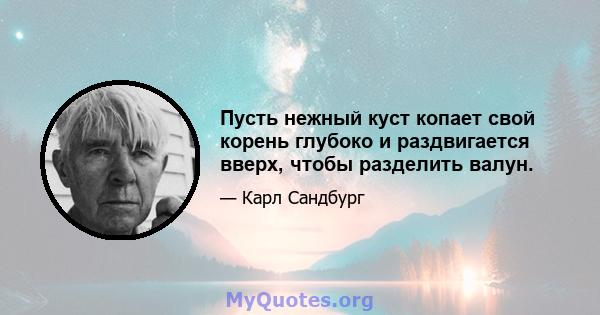 Пусть нежный куст копает свой корень глубоко и раздвигается вверх, чтобы разделить валун.