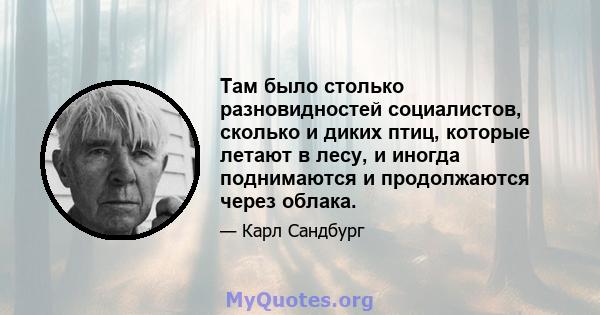 Там было столько разновидностей социалистов, сколько и диких птиц, которые летают в лесу, и иногда поднимаются и продолжаются через облака.