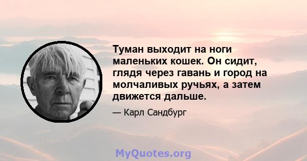 Туман выходит на ноги маленьких кошек. Он сидит, глядя через гавань и город на молчаливых ручьях, а затем движется дальше.