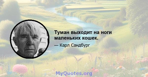 Туман выходит на ноги маленьких кошек.