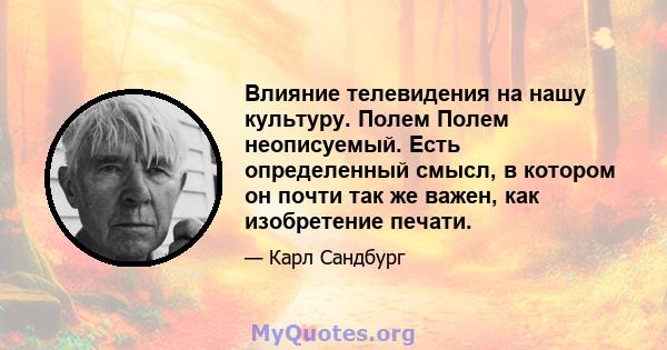 Влияние телевидения на нашу культуру. Полем Полем неописуемый. Есть определенный смысл, в котором он почти так же важен, как изобретение печати.