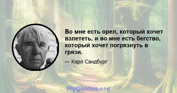 Во мне есть орел, который хочет взлететь, и во мне есть бегство, который хочет погрязнуть в грязи.