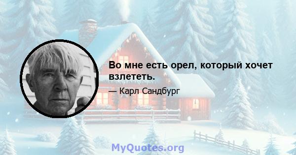 Во мне есть орел, который хочет взлететь.