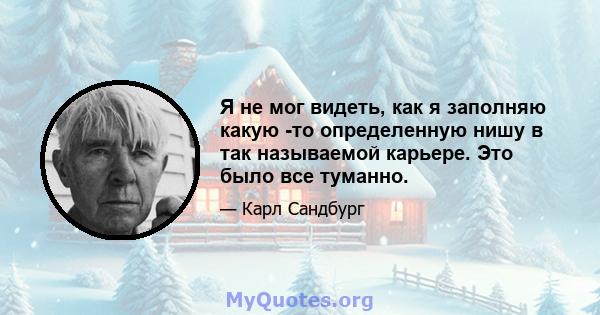 Я не мог видеть, как я заполняю какую -то определенную нишу в так называемой карьере. Это было все туманно.