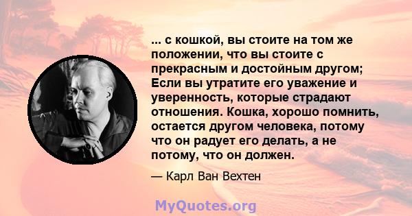 ... с кошкой, вы стоите на том же положении, что вы стоите с прекрасным и достойным другом; Если вы утратите его уважение и уверенность, которые страдают отношения. Кошка, хорошо помнить, остается другом человека,