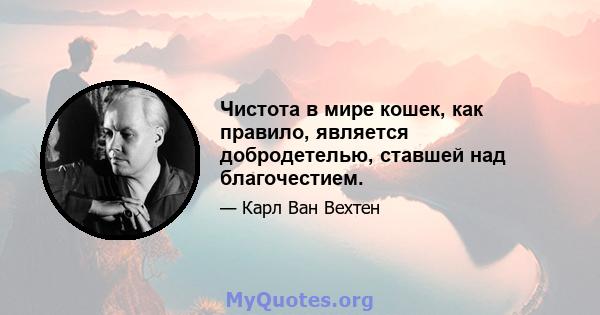 Чистота в мире кошек, как правило, является добродетелью, ставшей над благочестием.