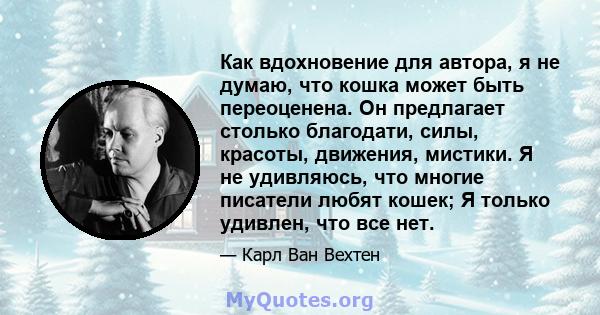 Как вдохновение для автора, я не думаю, что кошка может быть переоценена. Он предлагает столько благодати, силы, красоты, движения, мистики. Я не удивляюсь, что многие писатели любят кошек; Я только удивлен, что все нет.