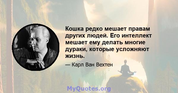 Кошка редко мешает правам других людей. Его интеллект мешает ему делать многие дураки, которые усложняют жизнь.