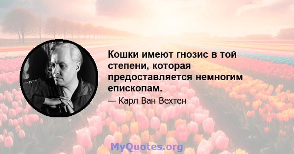 Кошки имеют гнозис в той степени, которая предоставляется немногим епископам.