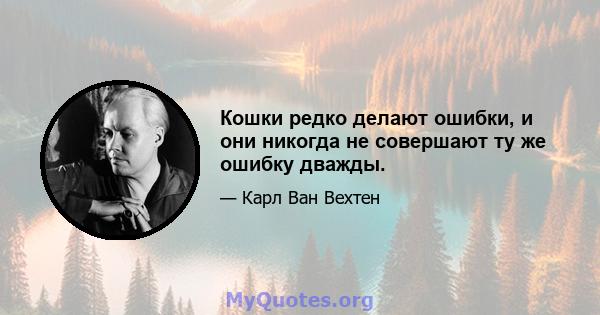 Кошки редко делают ошибки, и они никогда не совершают ту же ошибку дважды.