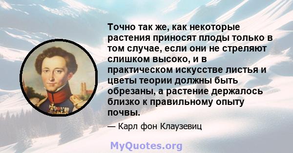 Точно так же, как некоторые растения приносят плоды только в том случае, если они не стреляют слишком высоко, и в практическом искусстве листья и цветы теории должны быть обрезаны, а растение держалось близко к