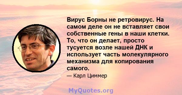 Вирус Борны не ретровирус. На самом деле он не вставляет свои собственные гены в наши клетки. То, что он делает, просто тусуется возле нашей ДНК и использует часть молекулярного механизма для копирования самого.