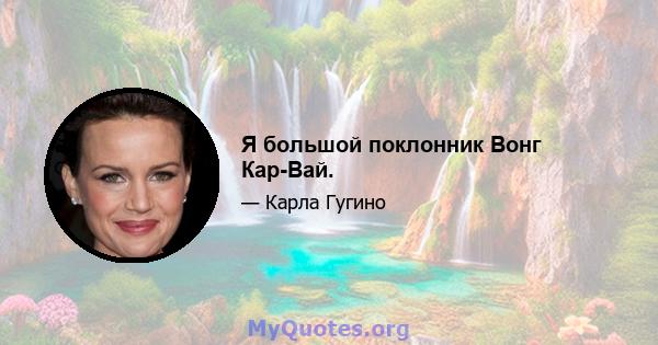 Я большой поклонник Вонг Кар-Вай.