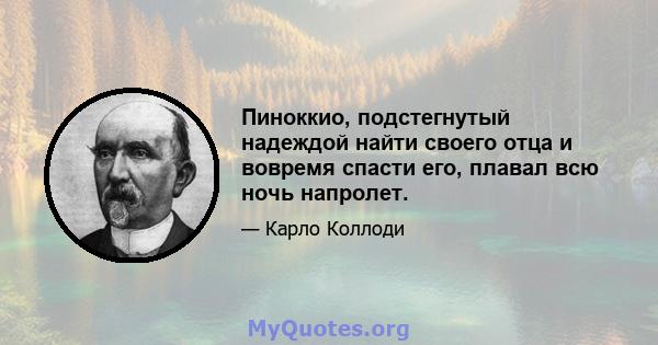 Пиноккио, подстегнутый надеждой найти своего отца и вовремя спасти его, плавал всю ночь напролет.